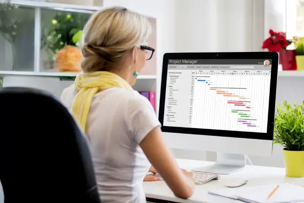 Project Management Mastery